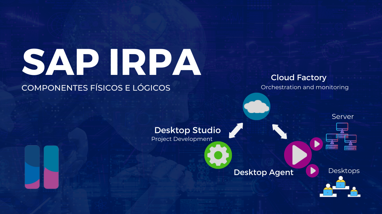SAP IRPA - Componentes físicos e lógicos
